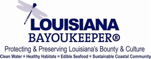 Bayou Logo